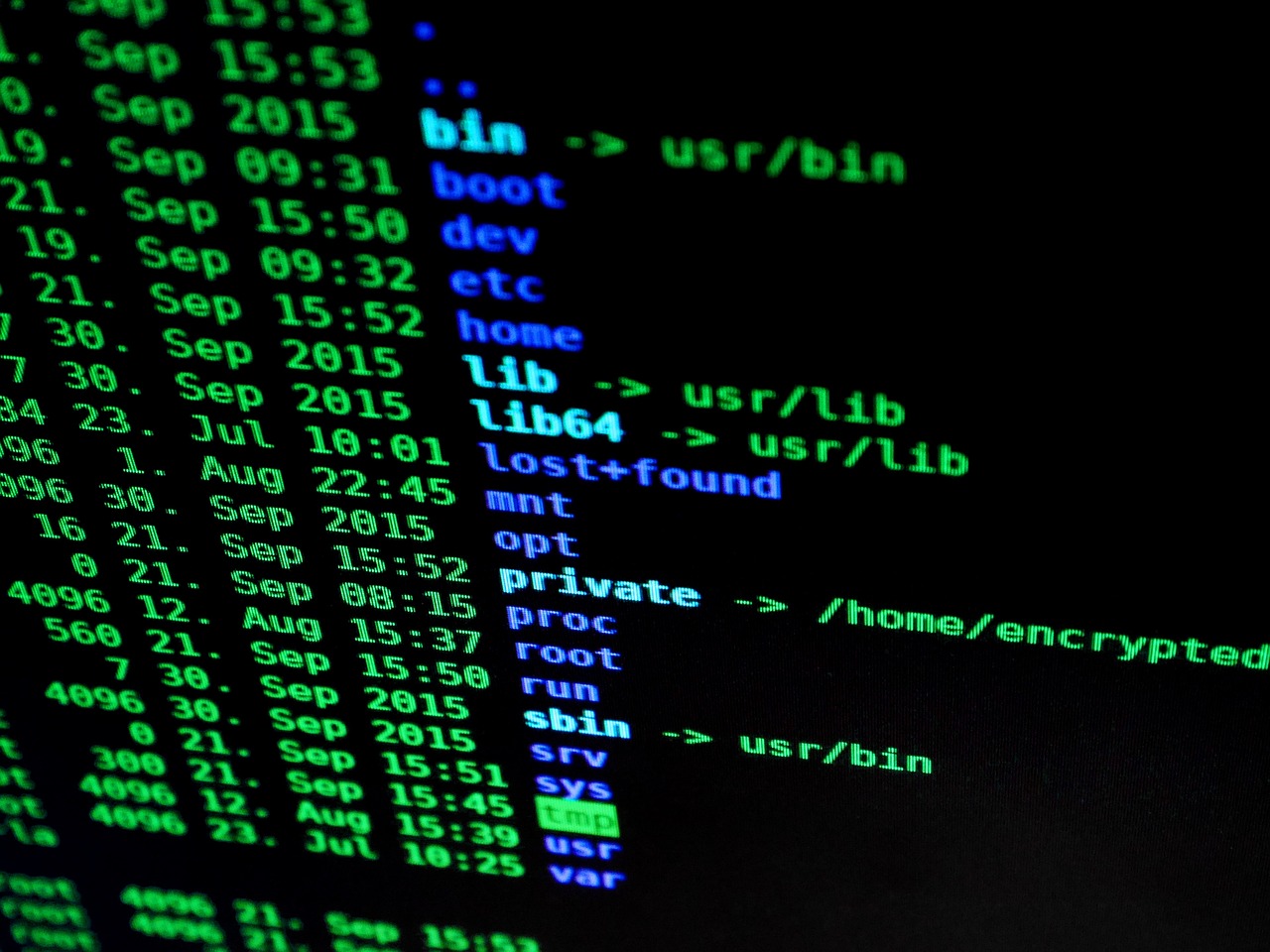 developer typing code laptop