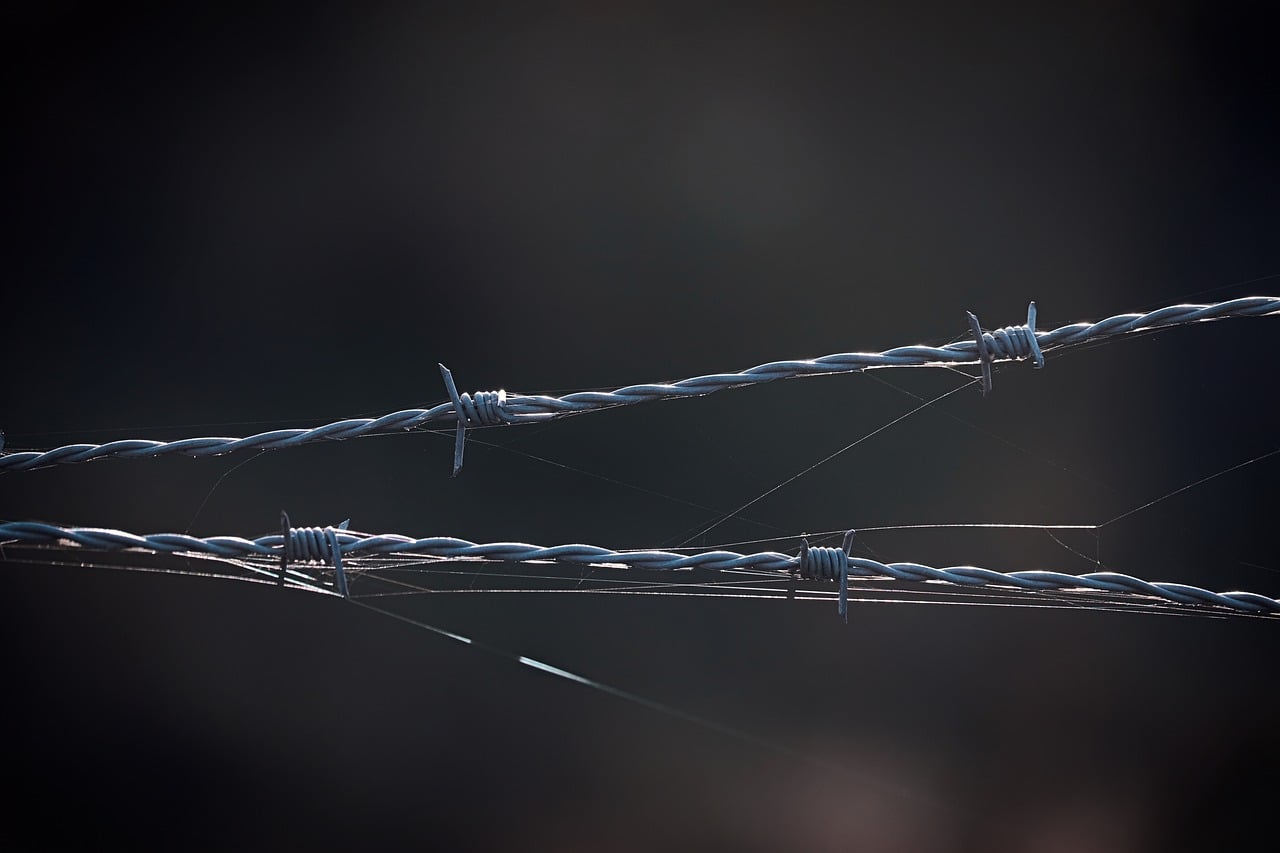 Antivirus & Protection Compared: Matching the Right Option to Your Needs
